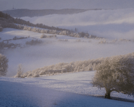 Výstava Bílé Karpaty objektivem Oty Hofra zdobí vstupní prostory kina Máj