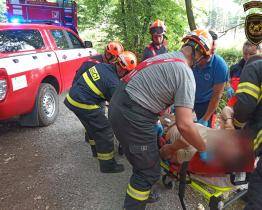 Při práci v lese zavalil muži nohu vzrostlý strom