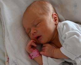 Za prvních šest měsíců roku 2024 přišlo v Uherskohradišťské nemocnici na svět o 70 dětí méně než loni