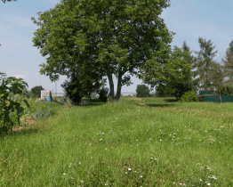 Uherskohradišťská radnice nechá postavit další dětské hřiště v Jarošově