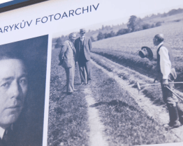 100 okamžiků očima fotografů ČTK