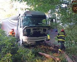 Mezi Loučkou a Haluzicemi havaroval kamion. Vůz se zastavil až na kraji lesa