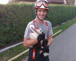 Mladému čapímu „kaskadérovi“ museli zpět do hnízda pomoct hasiči