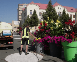 V horkých dnech se na svlažení ulic spotřebuje až 50 kubíků vody