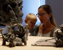 Galerie láká na snídani na nádvoří, umělecké sbírky i aktuální výstavy