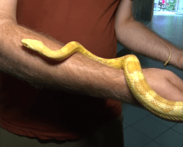 Týden pro pralesy seznámil s problematikou pytláků i kácení 