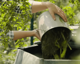 Obyvatelé Hodonína mohou získat kompostér zdarma