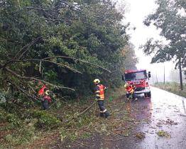 Pátek pohledem hasičů: protipovodňová opatření, čištění koryt řek a odklízení vyvrácených stromů
