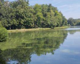 Za hromadný úhyn ryb a kachen ve Slavičíně mohlo horké počasí a malý průtok vody