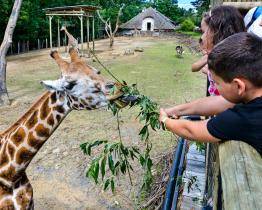 Vstupné do zlínské zoo bude každý pátek v září a říjnu jen za 100 korun