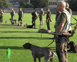 Memoriál Richarda Knolla prověřil loveckou zdatnost ohařů a jejich vůdců