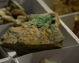 Za minerály a fosíliemi dorazily opět stovky lidí