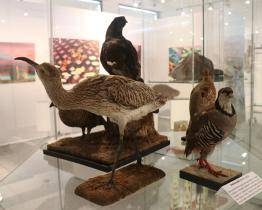 Preparáty zvířat, kostry či schránky měkkýšů. Zlínské muzeum vydá tajemství svého zoologického depozitáře