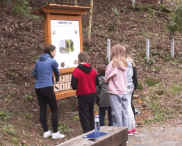 V Lesoparku Kalvárie najdete novou naučnou stezku 