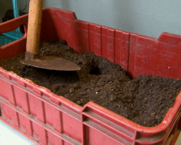 Technické služby používají technologii na likvidaci gastroodpadu