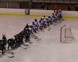 Benefiční hokejový zápas žáků vynesl pro Adámka 238 769 korun