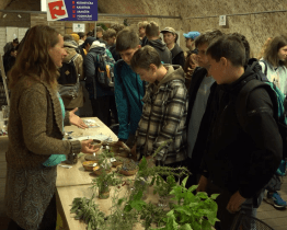 Ve Starém Městě mohla veřejnost vyzkoušet Tradice a řemesla na Slovácku 
