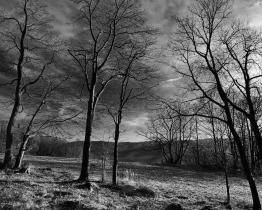 V Art Galerii Info je k vidění výstava Krajina blízká objektivem Zdeňka Zábranského