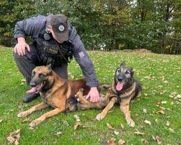 Policejní psi Can a Ciro odchází po osmi letech do zaslouženého důchodu