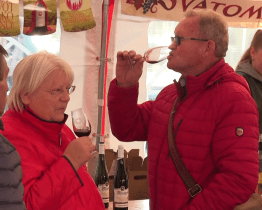 Společně s hody se v Kyjově uskutečnila ochutnávka svatomartinských vín