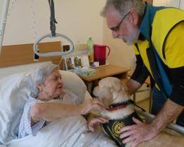 Canisterapeut Milan Doktor léčí klienty nemocnice prostřednictvím psa mnoho let