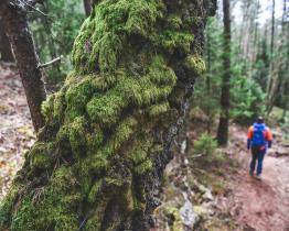 Východní Moravu a Trenčínský kraj propojí naučné stezky 
