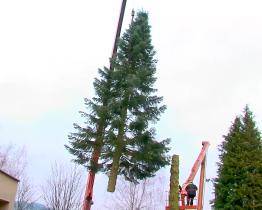 Vánoční strom se ve Vsetíně rozsvítí dnes večer