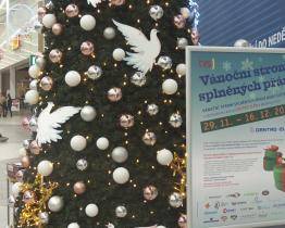 Strom splněných přání letos opět rozsvítil naději