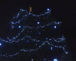 Vánoční strom už svítí i na Baťově