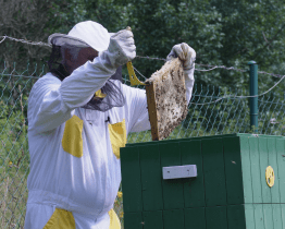 Jiří Danihlík ve Vsetíně přednášel o včelařství