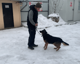 Zvířecí útulek Vsetín se stará o třicítku psů a koček