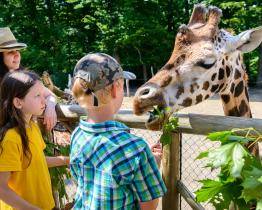 Rok 2024 byl pro zlínskou zoo třetím nejúspěšnějším v historii