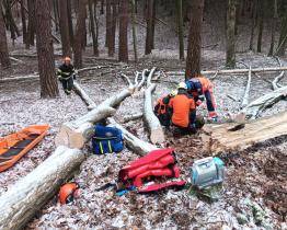 V lese u Vizovic se vážně zranil dřevorubec. Letěl pro něj vrtulník