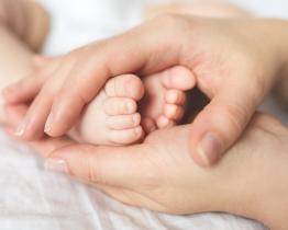 V kroměřížské porodnici se vloni narodilo 812 dětí. V převaze byly holčičky