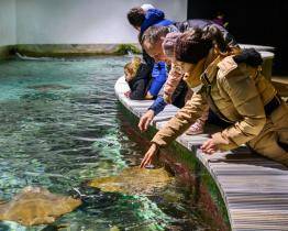 Dárek za pololetní vysvědčení: do zlínské zoo jen za korunu, známky nehrají roli