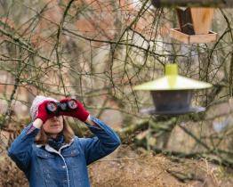 Letošní Ptačí hodinka se blíží, zapojte se i vy