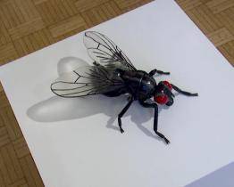 V Galerii Stará radnice je k vidění výstava Pátý element