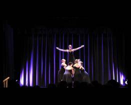 Koncert pro vážku vynesl téměř 14 tisíc