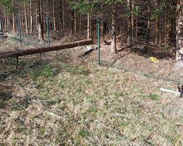 Muže na Valašsku zranil padající strom. Letěl pro něj vrtulník