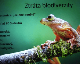 Přednáška upozornila na ničení pralesů