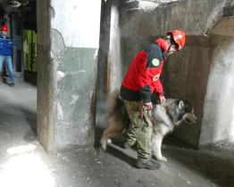 Záchranářští psi předvedli své umění