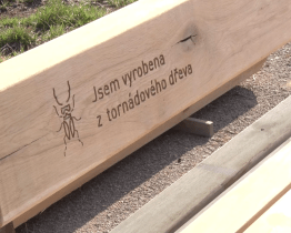 V Hodoníně začala instalace dalších laviček z tornádového dřeva