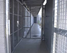 Nový útulek pro psy čeká na své první obyvatele