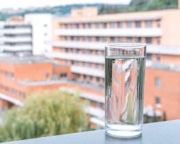 Onemocnění ledvin může dlouho probíhat zcela bezpříznakově, upozorňuje lékařka