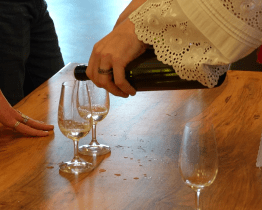 Mutěnice oslavily víno na výstavě plné degustace, hudby a ocenění