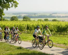 Otevírání vinařských cyklostezek na Uherskohradišťsku je tady! Novinkou jsou tři historické trasy
