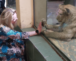 Hodonínská zoo slaví půl století a chystá se na dalších padesát let