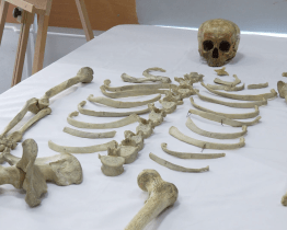 ZŠ UNESCO ukončila zkoumání lidské kostry