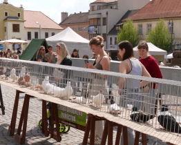 Brodské náměstí ožilo celosvětovou akcí Den Země