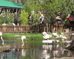 Dům přírody spojil oslavy Dne Země se zoologickou zahradou